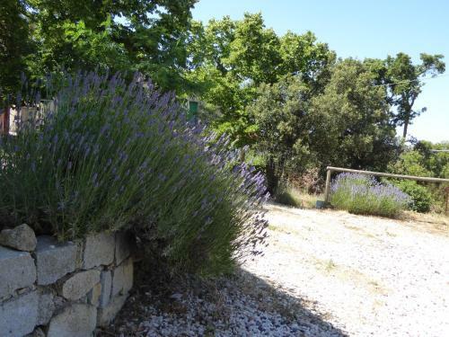 Agroturismo Casa Solotti