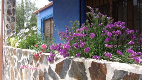 Agroturismo Casa Rural Mi Campo