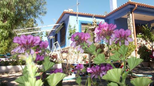 Agroturismo Casa Rural Mi Campo