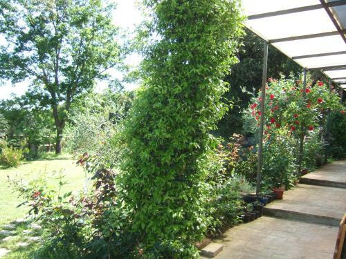 Hostal Casa Crevole