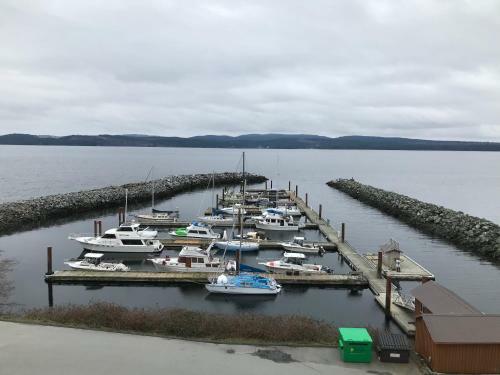Hotel Beach Gardens Resort And Marina