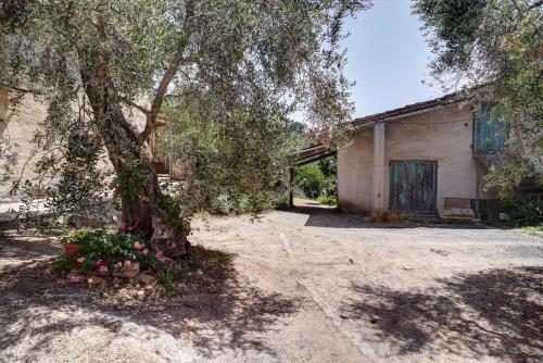 Apartamento Agriturismo C� Di Ughi