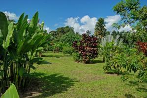 Hotel Volcano Lodge & Gardens