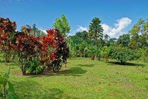 Hotel Volcano Lodge & Gardens
