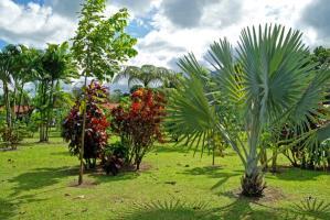 Hotel Volcano Lodge & Gardens