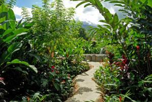 Hotel Volcano Lodge & Gardens