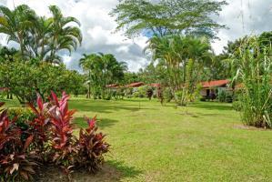 Hotel Volcano Lodge & Gardens