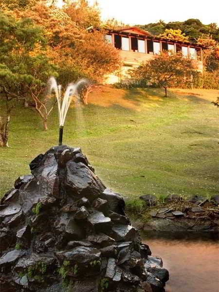Hotel Cloudforest Lodge
