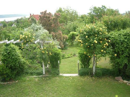 Csalintos Apartman