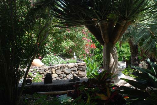 Apartamentos Finca Wapa