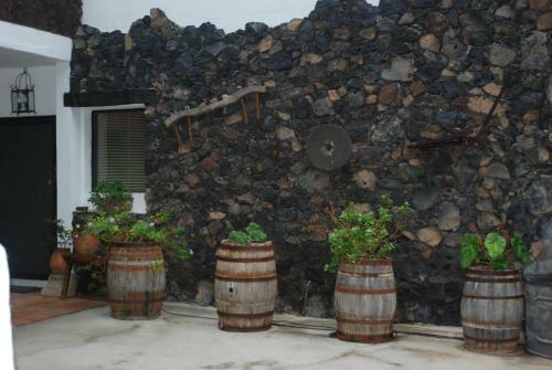 Apartamentos Finca Wapa