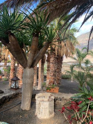 Apartamentos Finca Wapa