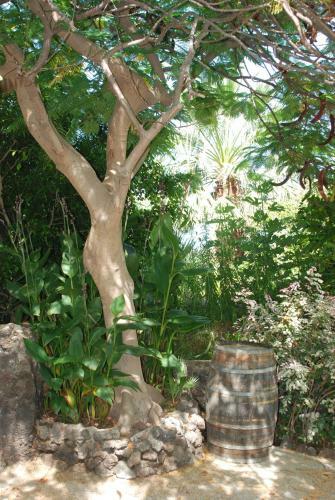 Apartamentos Finca Wapa