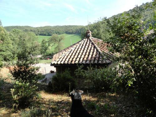 Agroturismo Agriturismo I Sassi Grossi