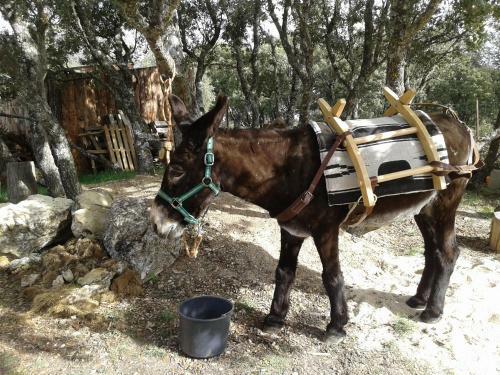 Agroturismo La Casona De Requijada