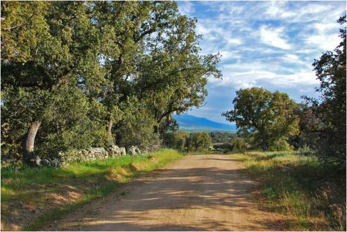 Agroturismo La Casona De Requijada