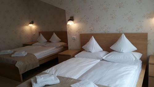Hostal Pensiunea Casa Rusu