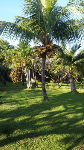Hostal Bayu Mantra Bungalows