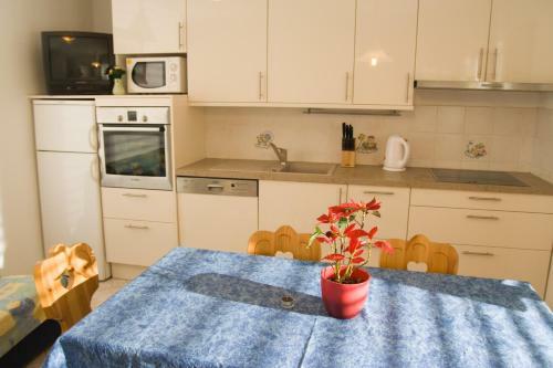 Apartments Mrakic