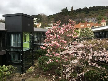 Motel Bluestone On George