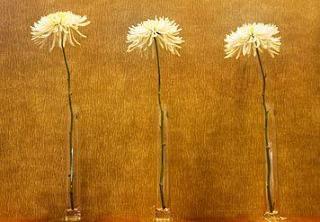 Hotel Courtyard Los Angeles Torrance/south Bay