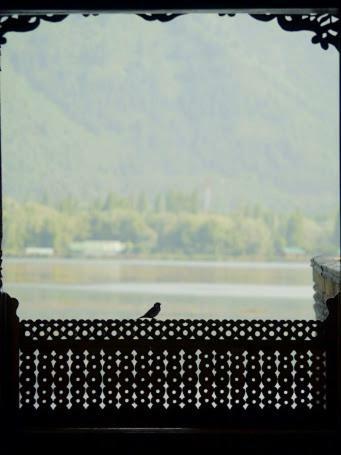 Houseboat Lily Of Nageen