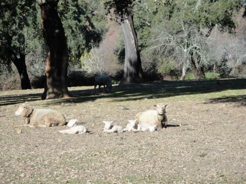 Agroturismo Casa Rural Sierra San Mamede