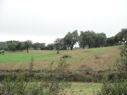 Agroturismo Casa Rural Sierra San Mamede