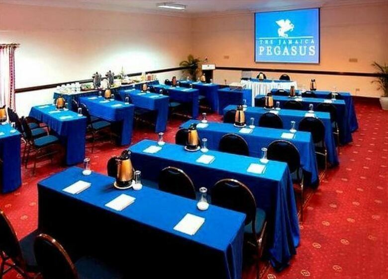 Jamaica Pegasus Hotel