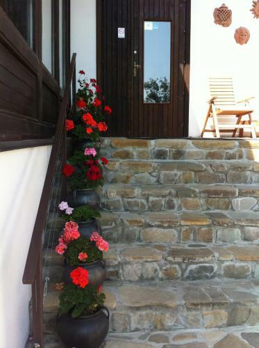 Hostal Pension Valentina