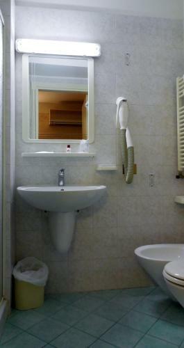 Hotel Albergo Arena