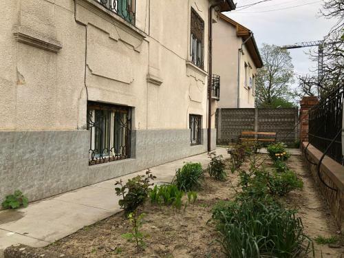 Albergue Mosaico Alfetta