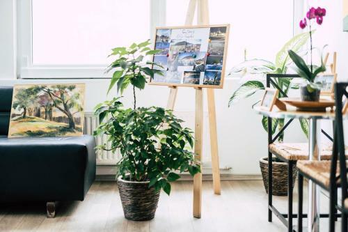 Hostal Pension Gallery