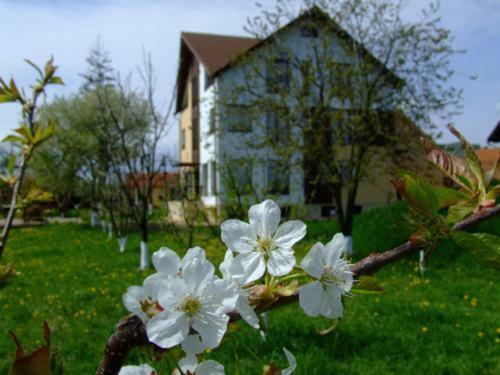 Hostal Guesthouse Stupina