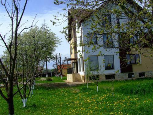 Hostal Guesthouse Stupina
