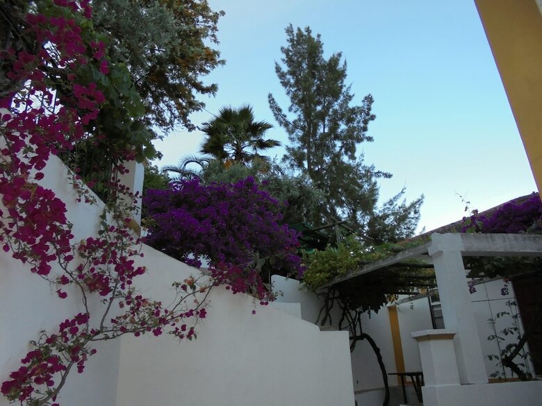 Bed & Breakfast Casa Covao Da Abitureira