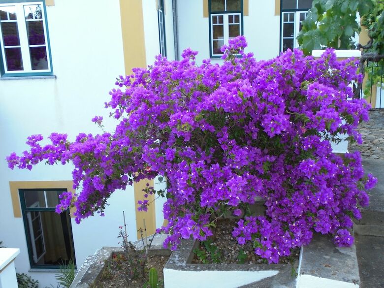 Bed & Breakfast Casa Covao Da Abitureira