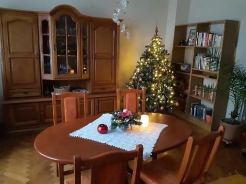 Bed & Breakfast K�t Lotti Villa - Gy�gypanzi�