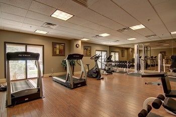 Hotel Holiday Inn Express & Suites Alpharetta