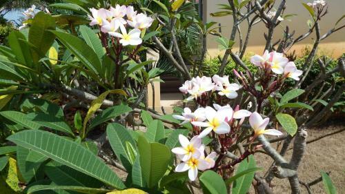 Hotel Ao Thai Resort