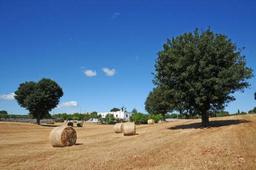 Bed & Breakfast Quercia Verde