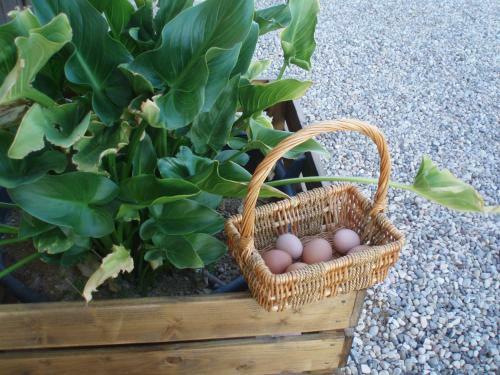 Agroturismo Casas Rurales Venta Seca