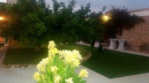 Agroturismo Casas Rurales Venta Seca