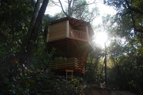 Cabanes Dosrius