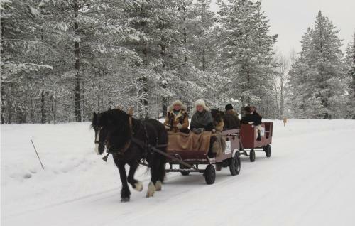 Holiday Home Lj�rdalen Holl�sen