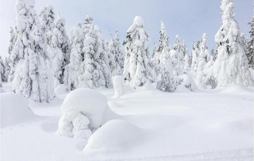 Holiday Home Lj�rdalen Holl�sen