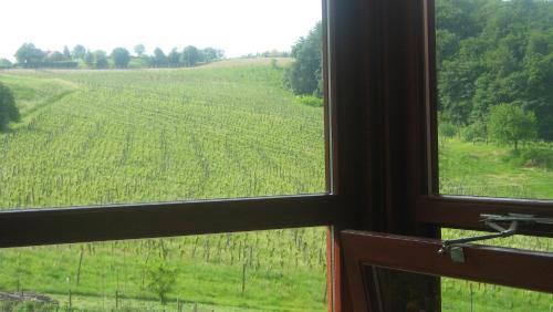 Hostal Tourist Farm Joannes