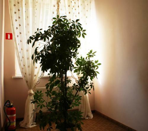 Hostal Pensjonat Iskra