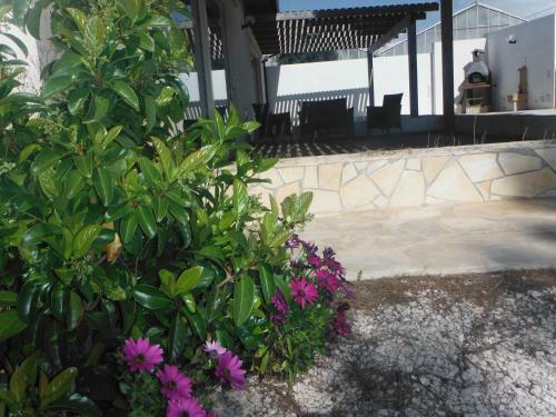 Apartamento Baglio Natura