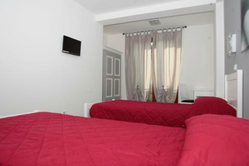 Bed & Breakfast Nettuno